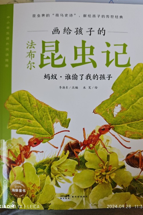 螞蟻.誰偷了我的孩子