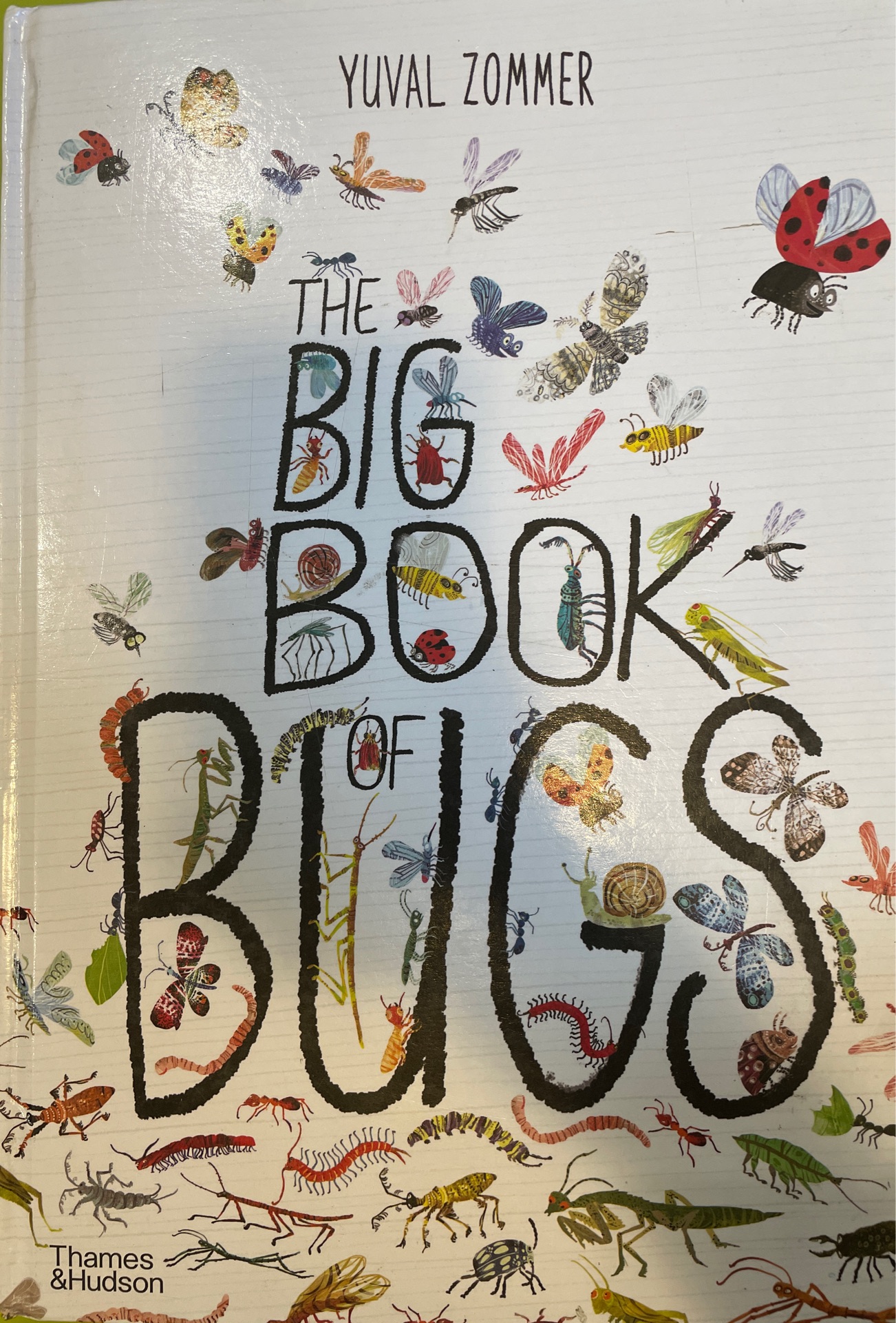 the big book of bugs