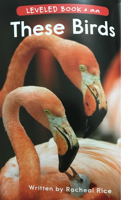 These Birds