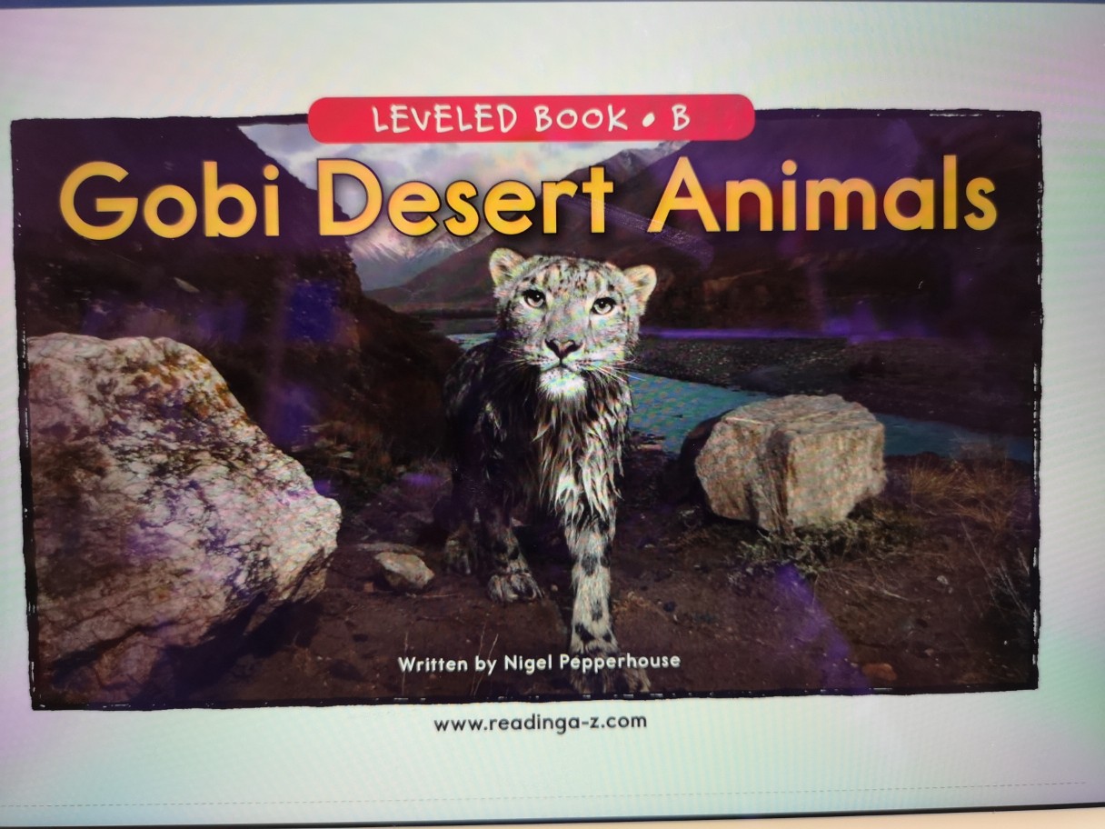 gobi desert animals