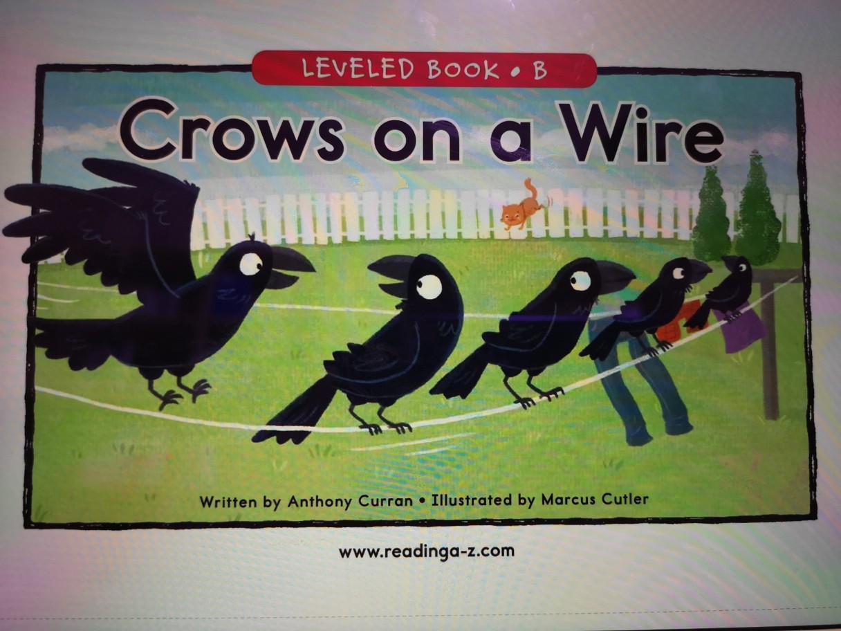 crows on a wire