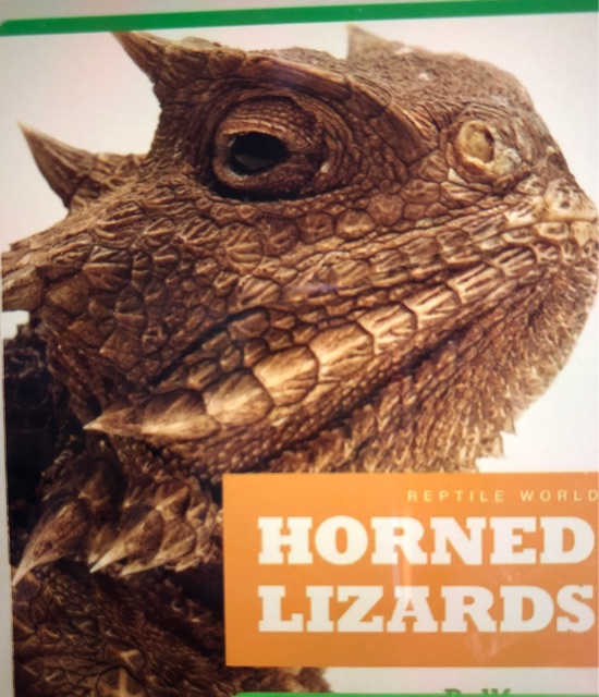 Horned lizards