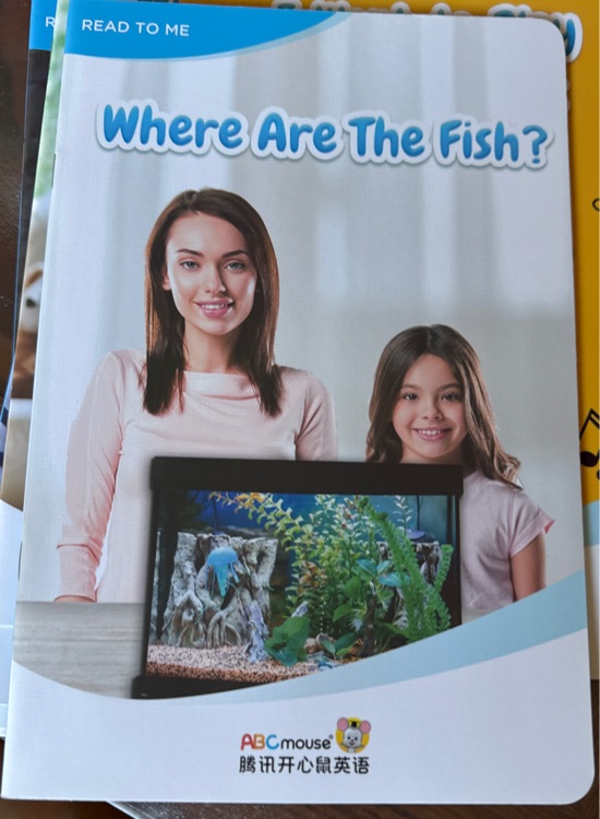 Where are the fish