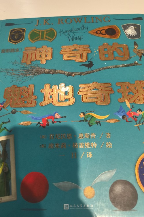 神奇的魁地奇球