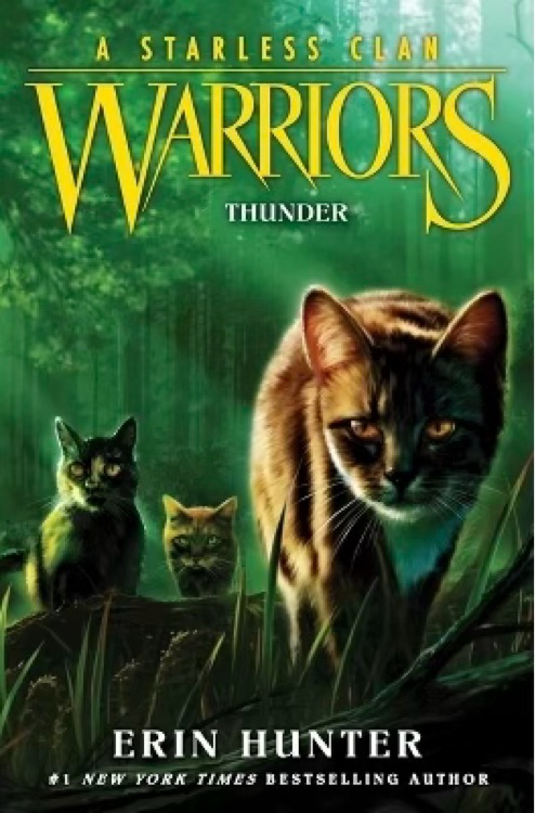 thunder warriors