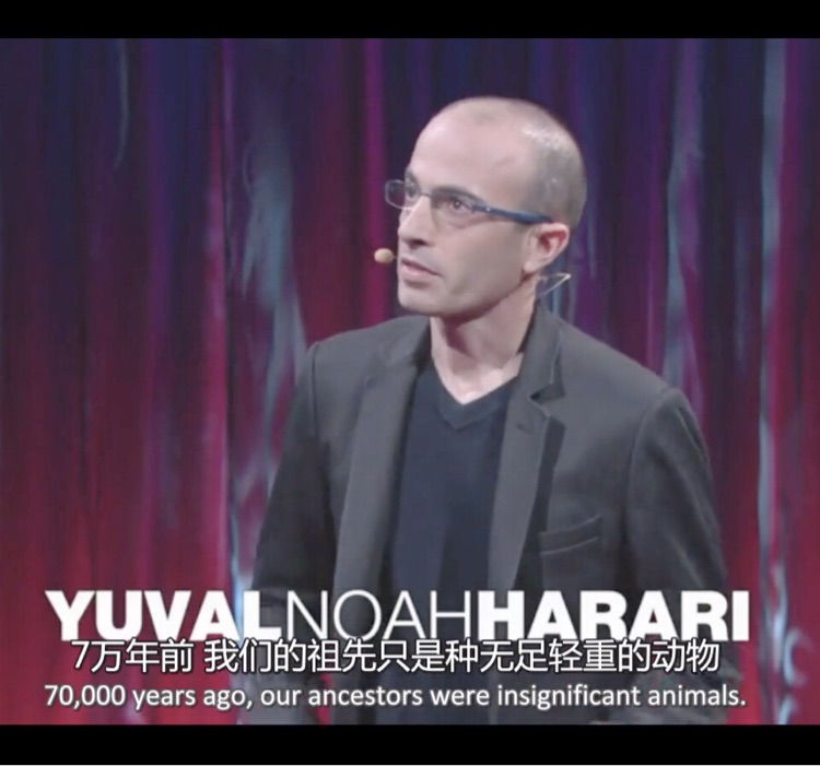 TED Yuval Harari