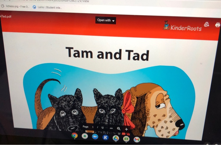 Tam and Tad