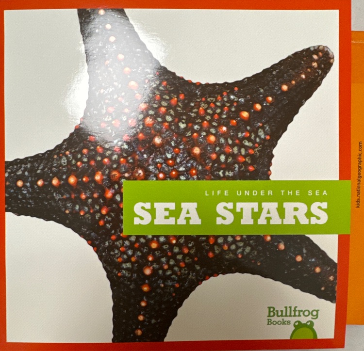 Sea stars