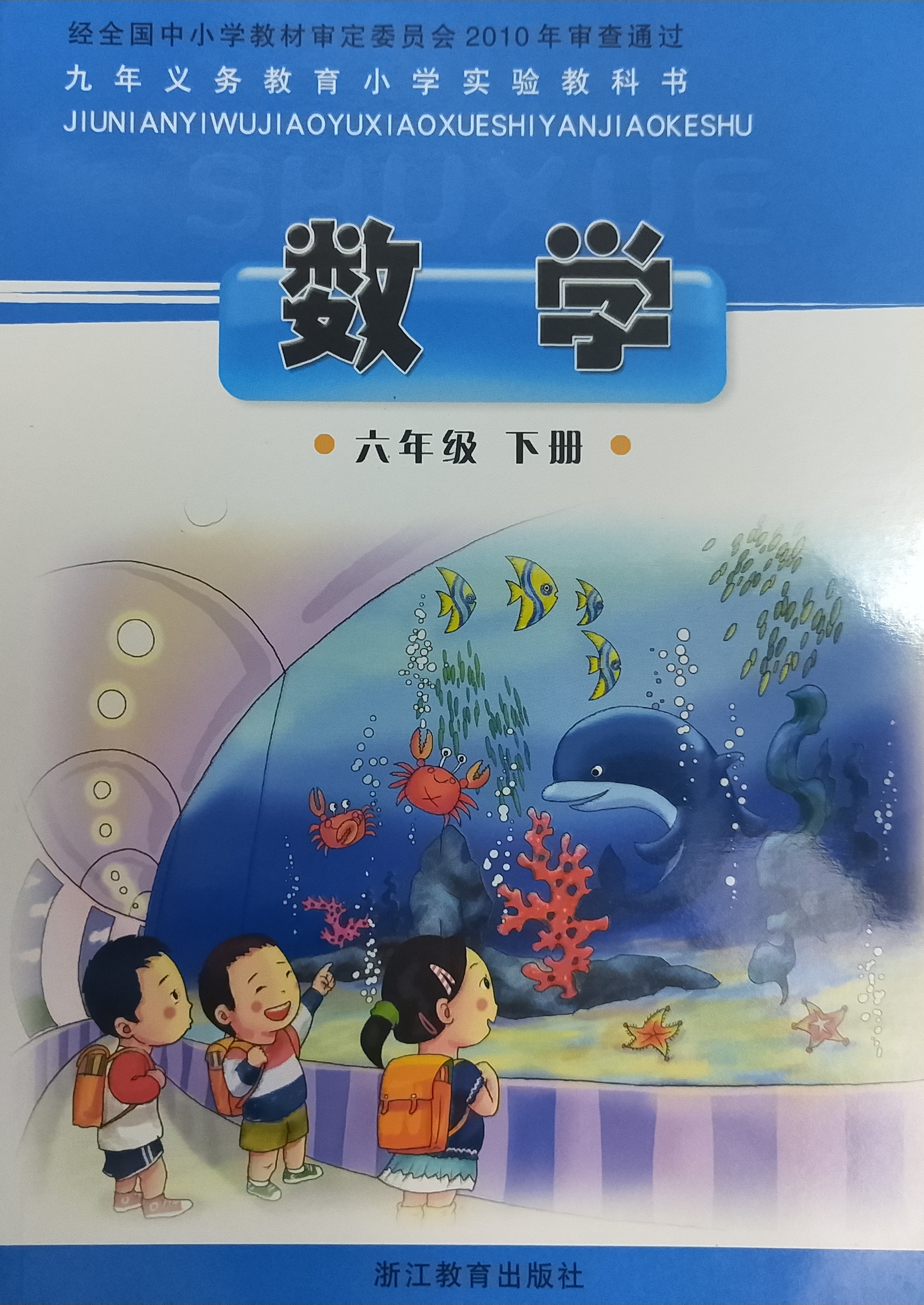 數(shù)學 浙教版 六下