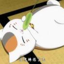 箜4362262717