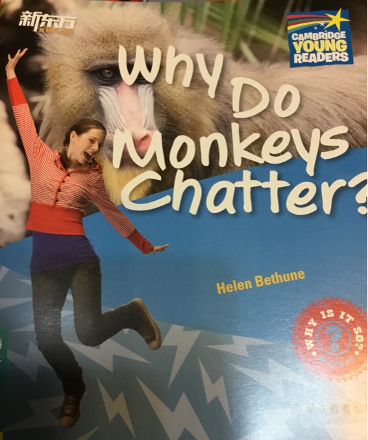 Why do monkeys chatter