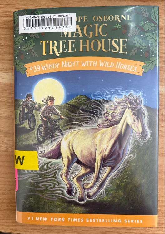 # 39 Windy Night with Wild Horses