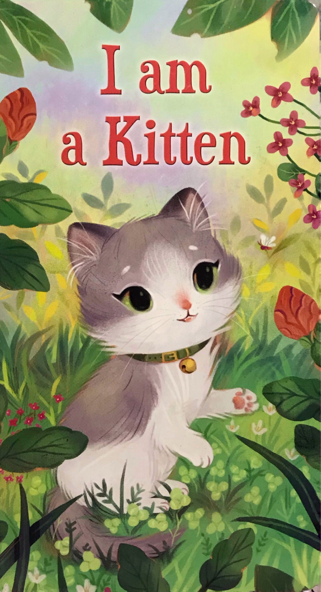 I am a Kitten (A Golden Sturdy Book)