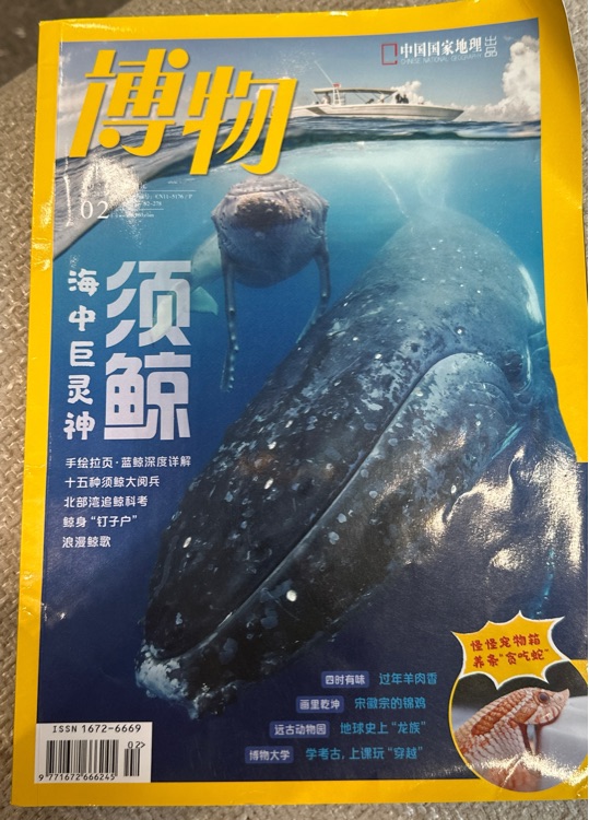 博物2024
