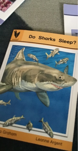 Do Sharks Sleep?