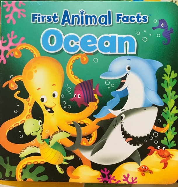 first animal facts ocean