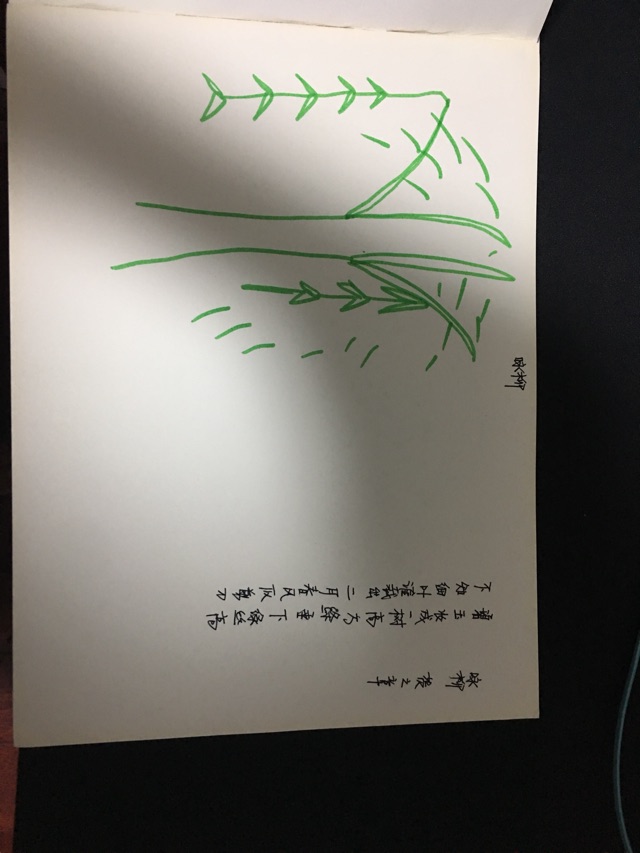 詠柳打卡
