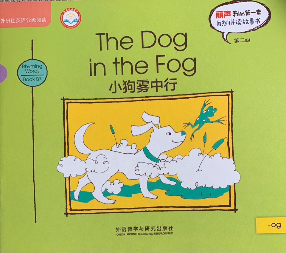 The Dog in the Fog