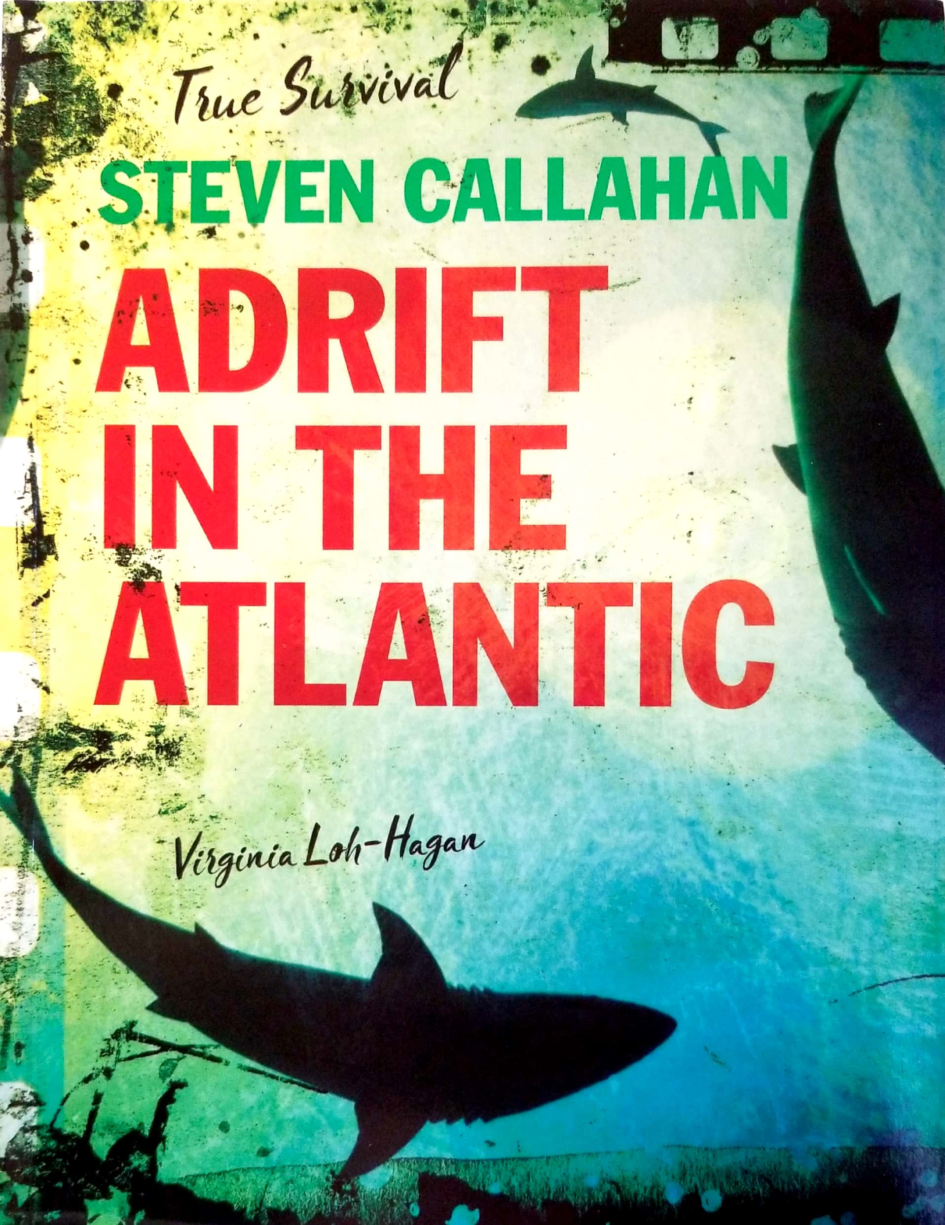 Steven Callahan Adrift in the Atlantic