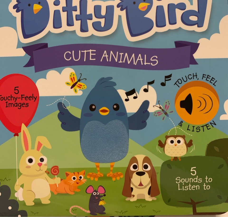 Ditty Bird:CUTE ANIMALS