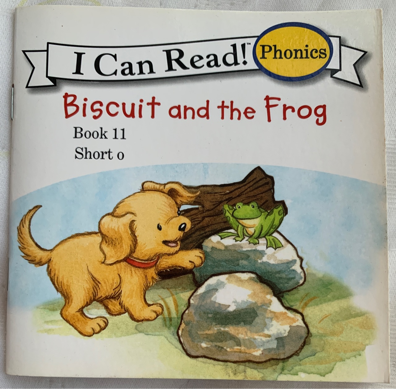 Biscuit and the frog