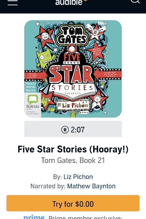 Tom Gates 21 Five Star Stories