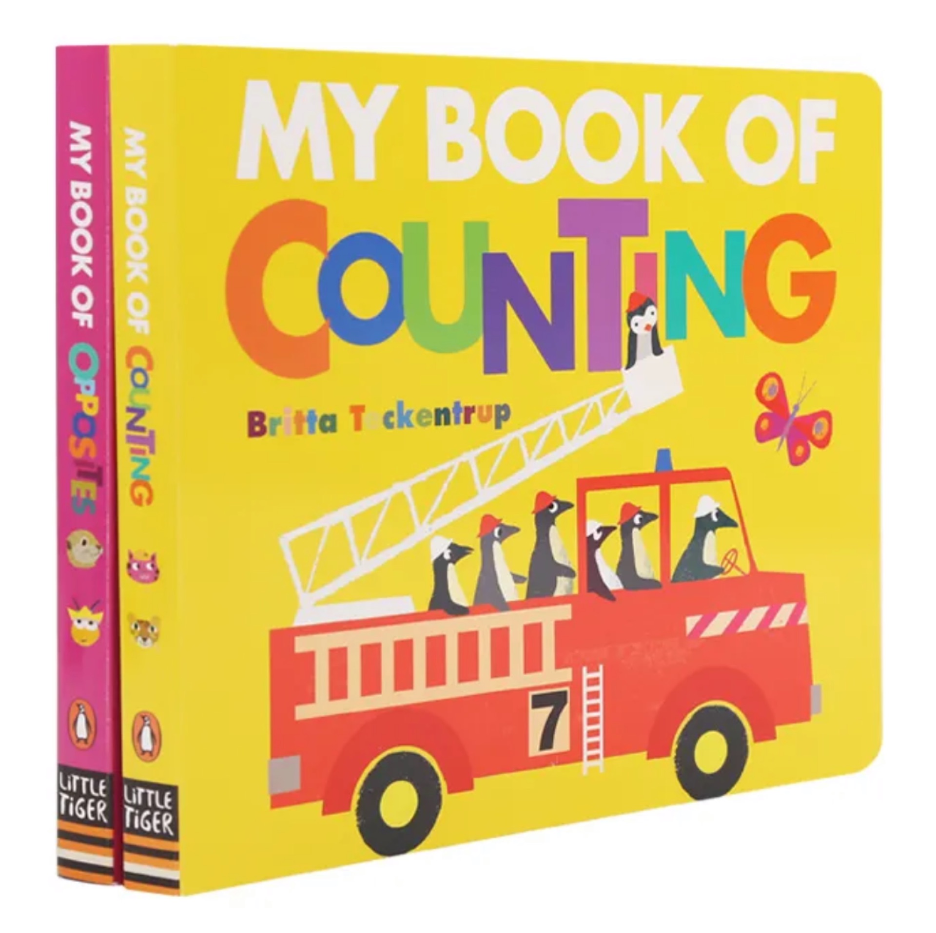 MY BOOK OF COUNTING