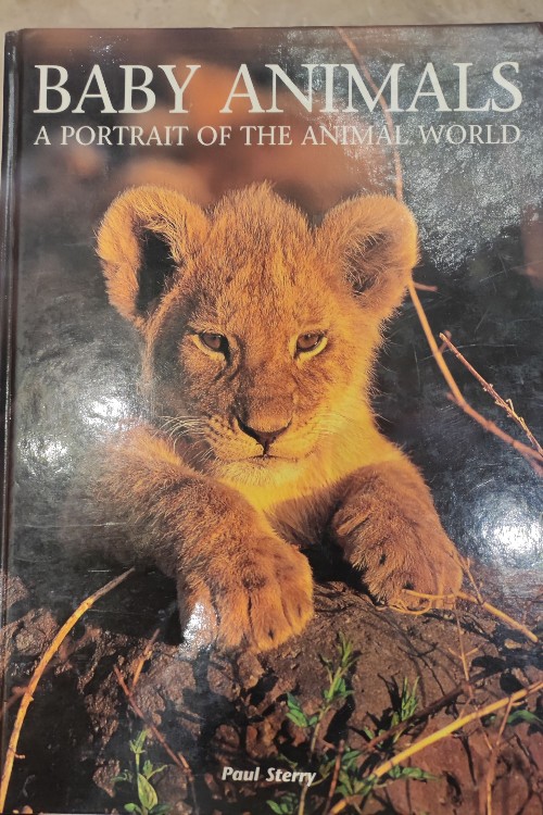 Baby Animals: A Portrait of the Animal World