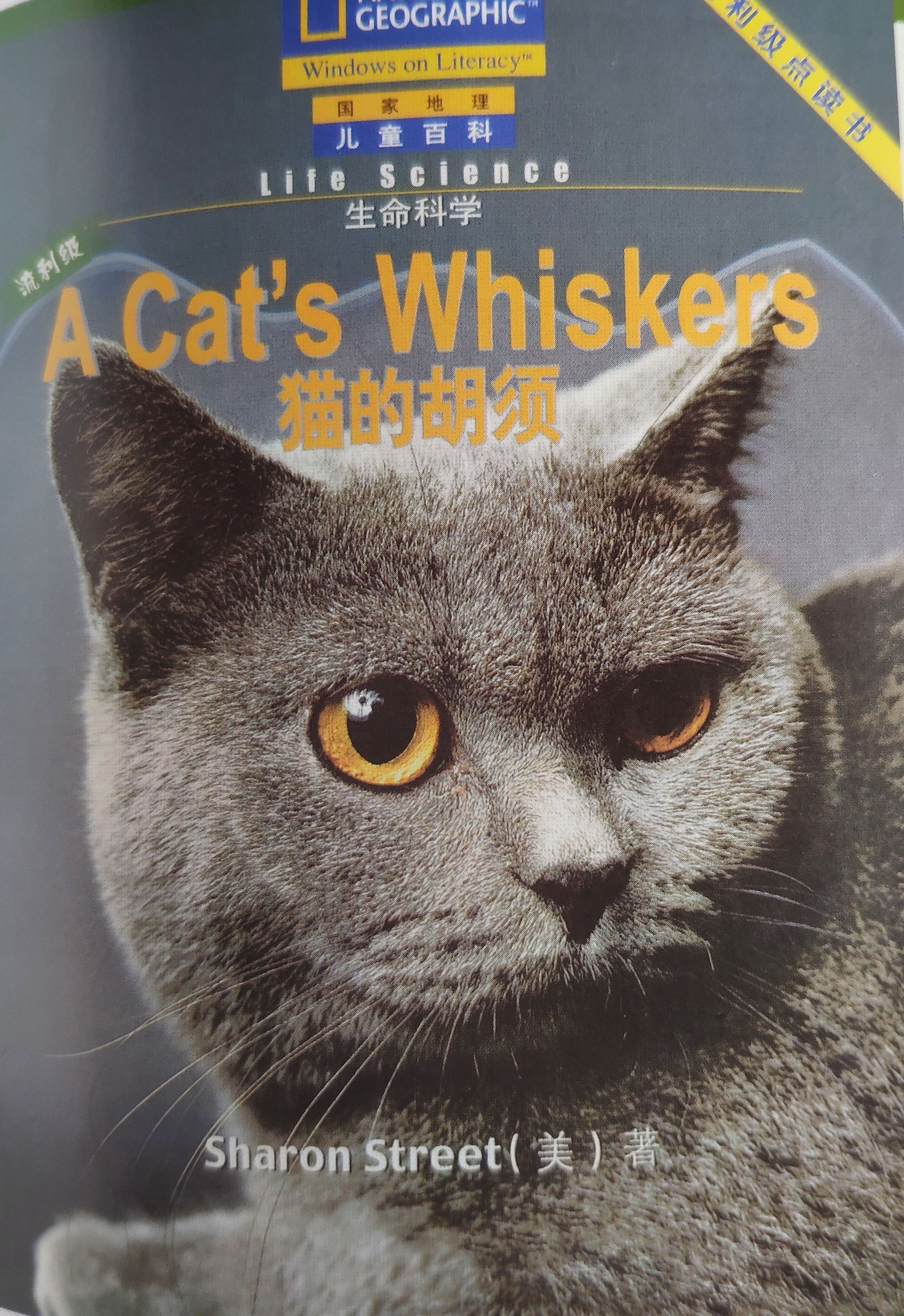 A cat's whiskers