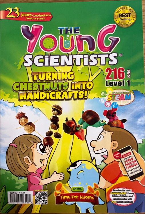 the young scientists level 1 216 turning chestnuts into handicrafts