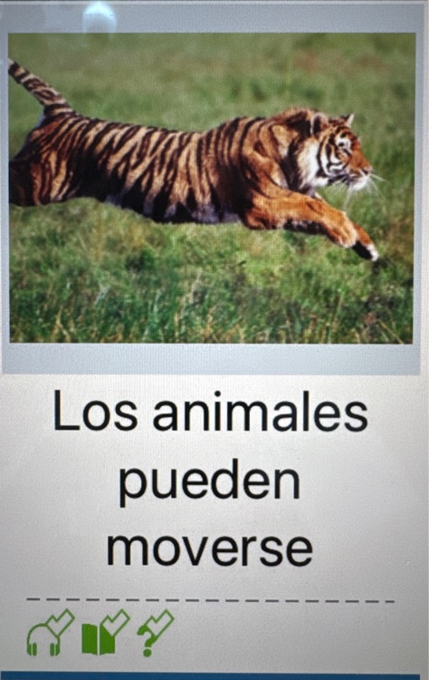 spanish raz b Los animales pueden moverse