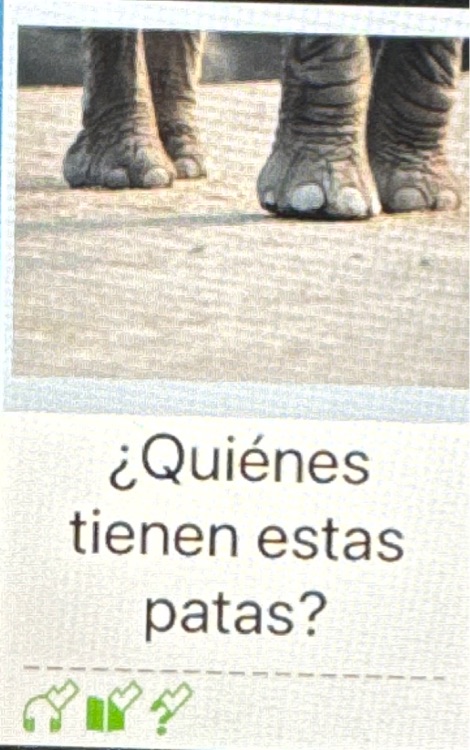 Spanish raz B ¿Quiénes tienen estas patas?