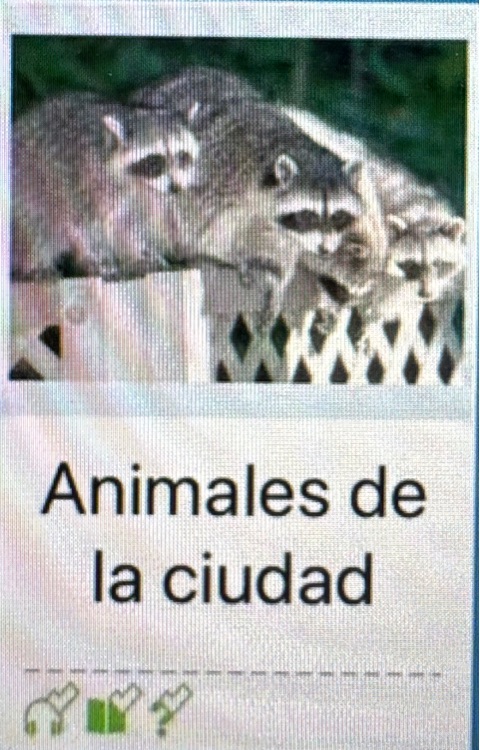 Spanish RAZ E Animales de la ciudad