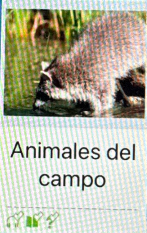 Spanish RAZ E Animales del campo