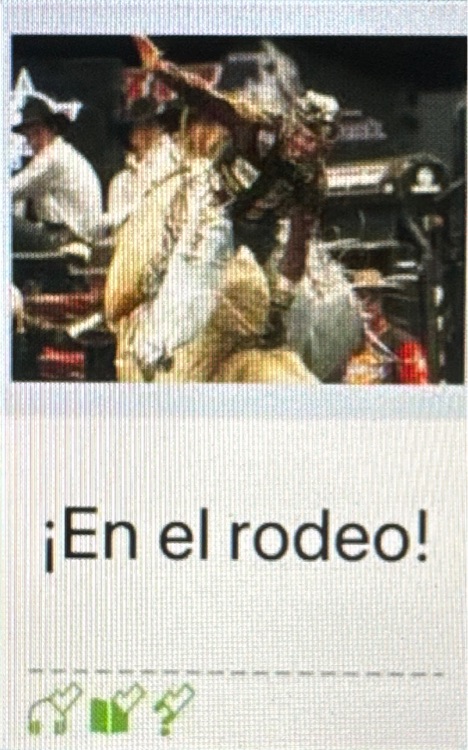 Spanish RAZ E ¡En el rodeo!