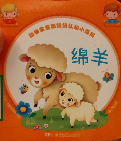 綿羊