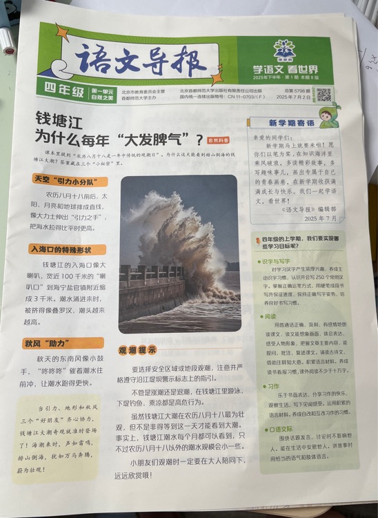 語文導(dǎo)報