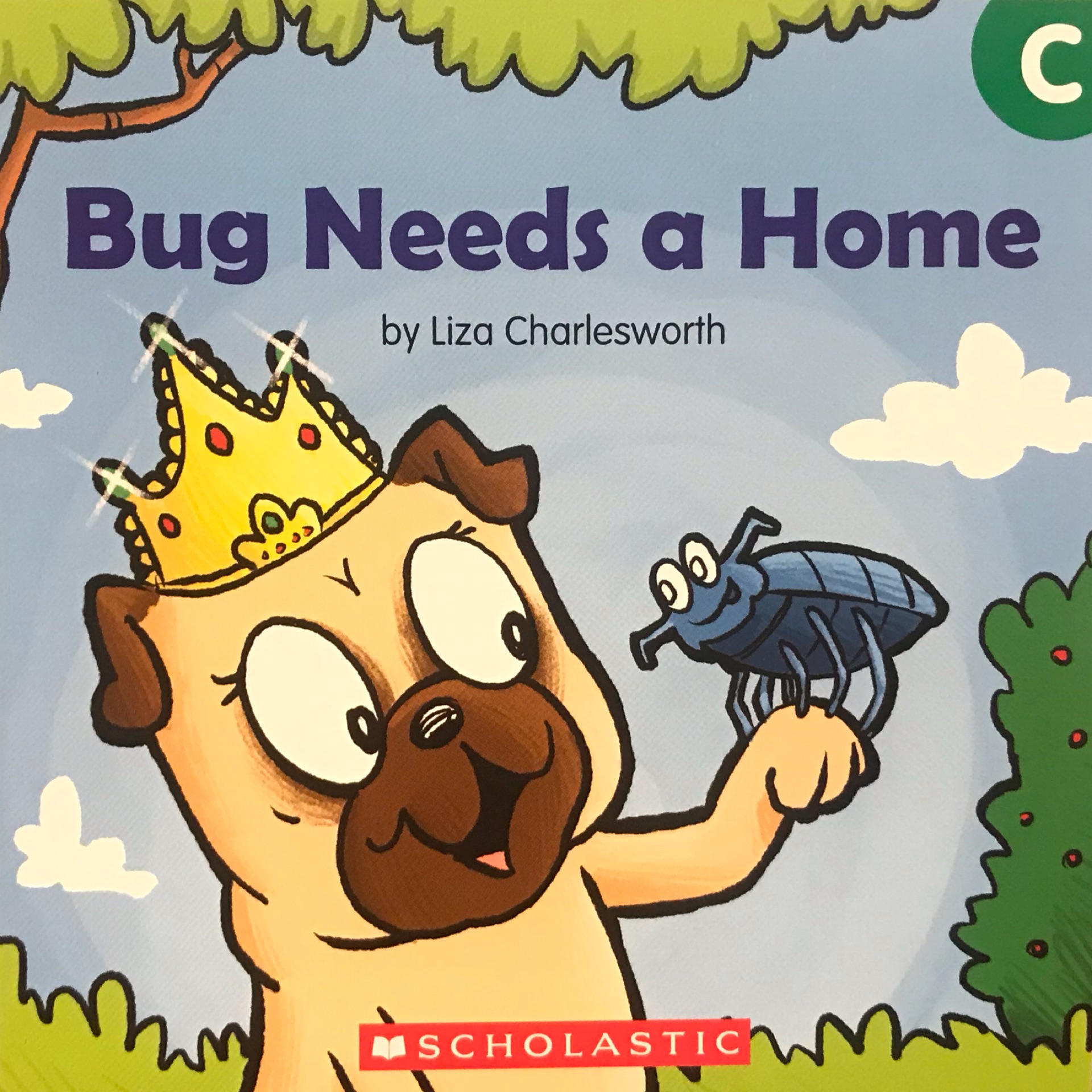 Buddy Readers level C: Bug Needs a Home