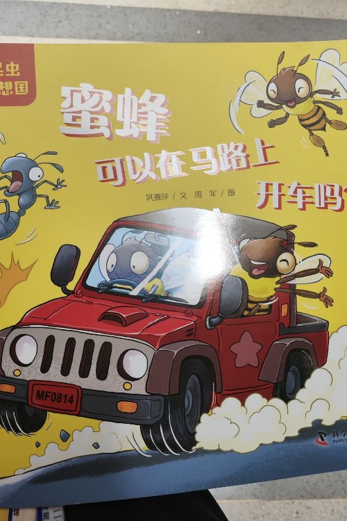 蜜蜂可以在馬路上開(kāi)車嗎