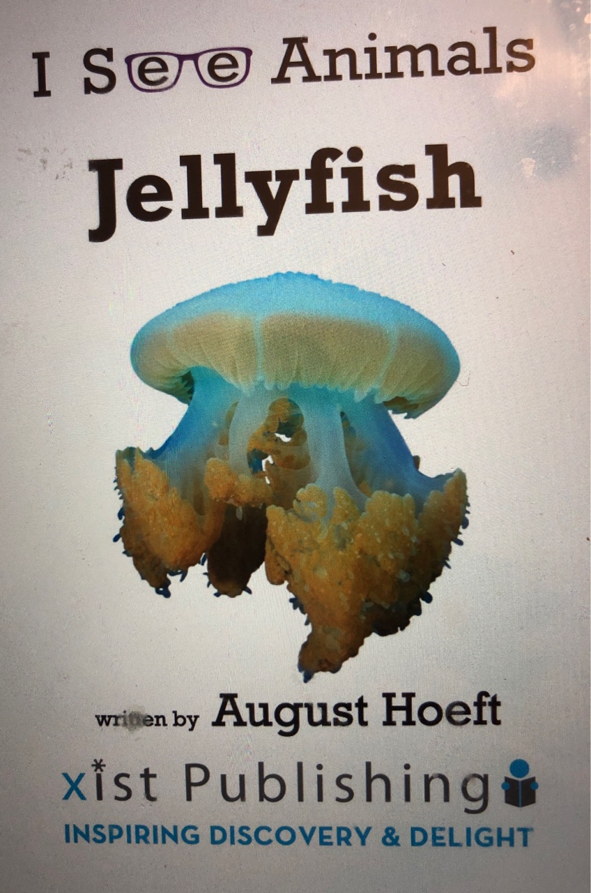 I see animals: jellyfish