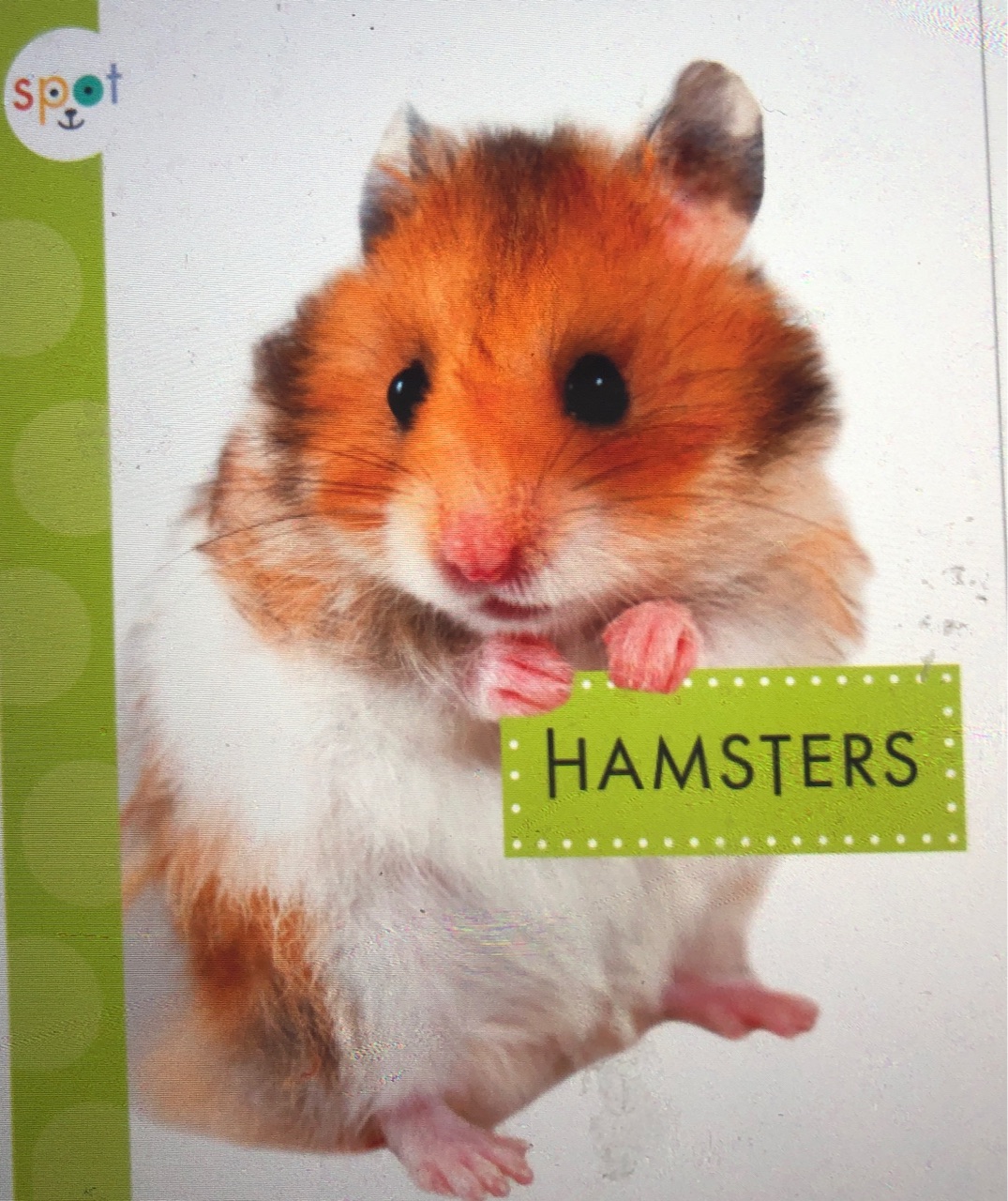 Spot: Hamsters