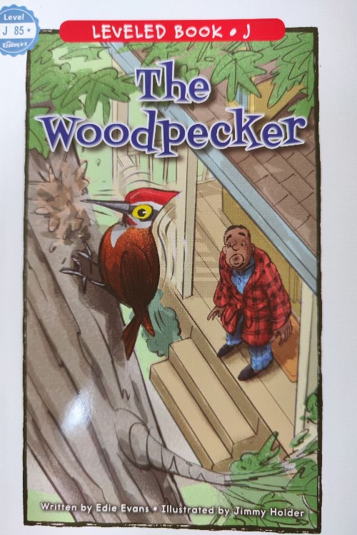 the woodpecker
