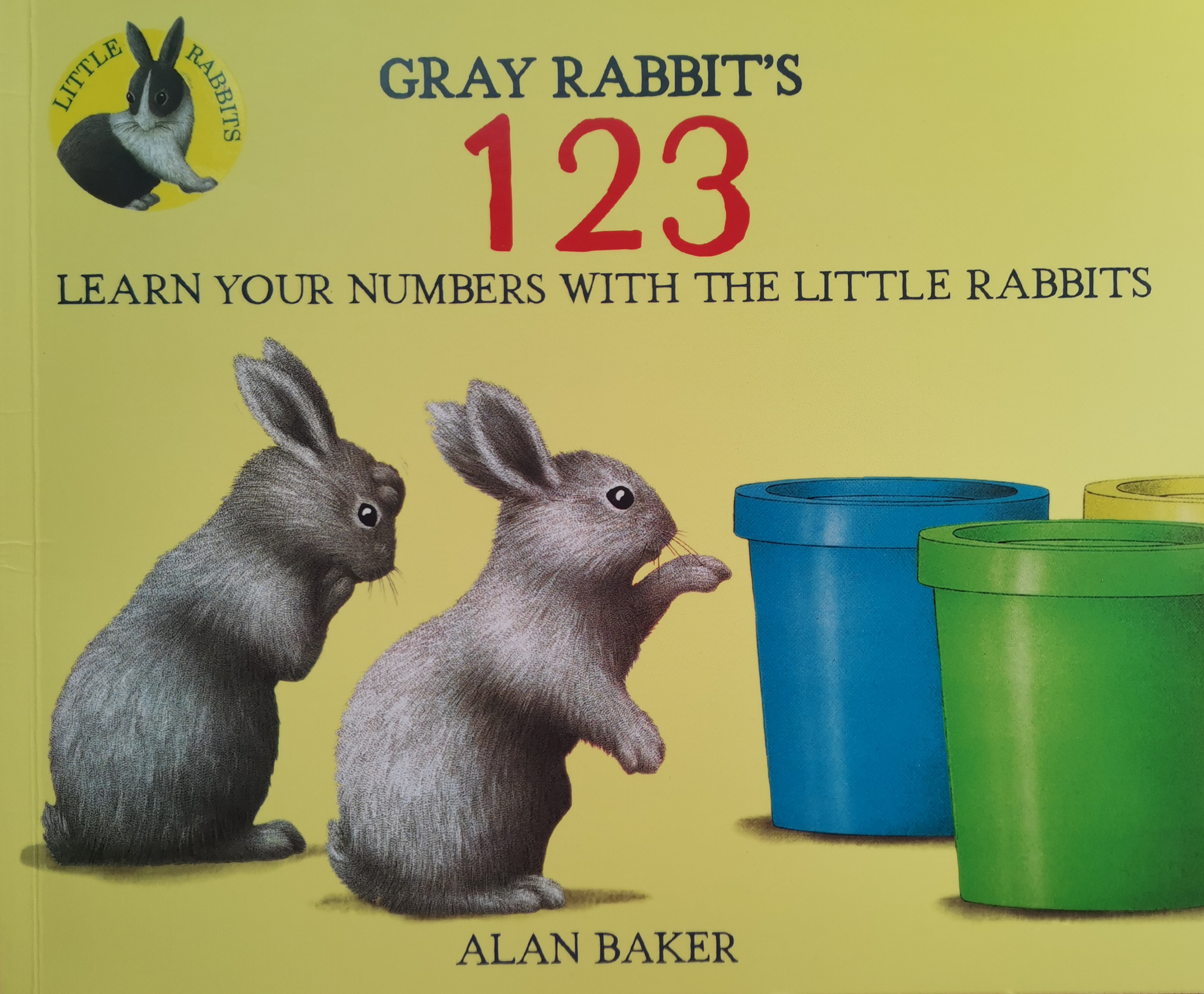 Gray  Rabbit'123