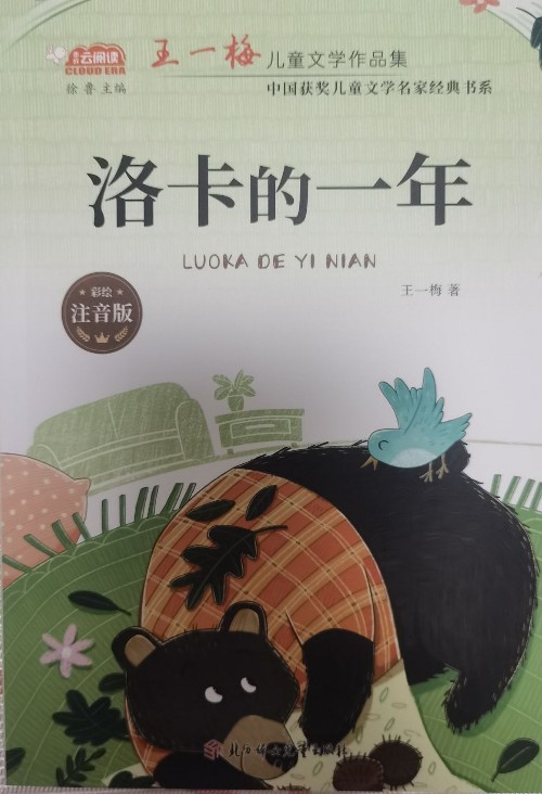 洛卡的一年