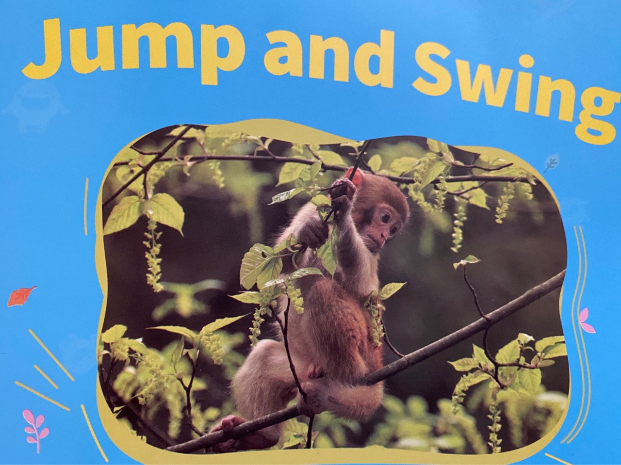 Jump and Swing