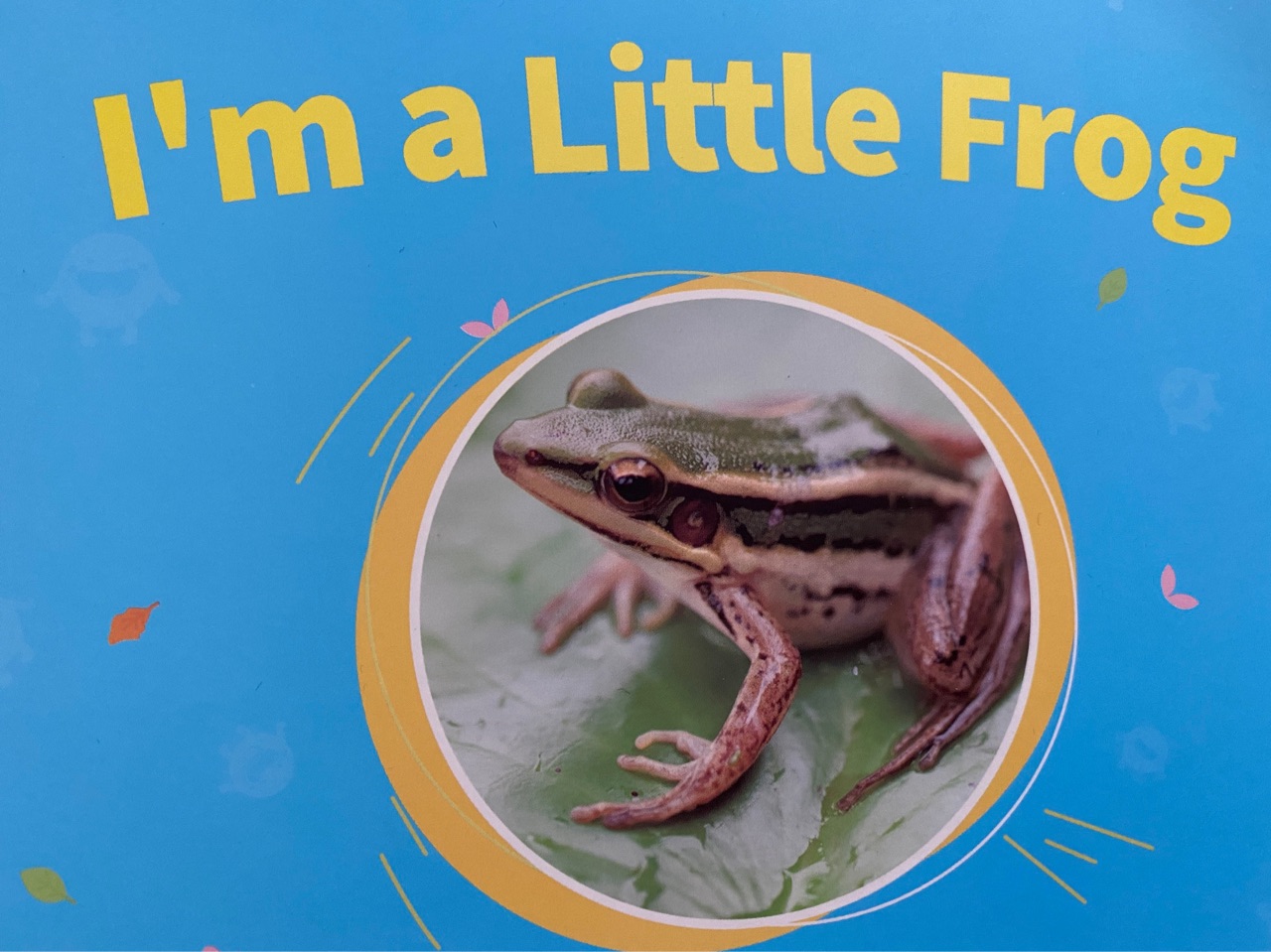 I'm a little frog