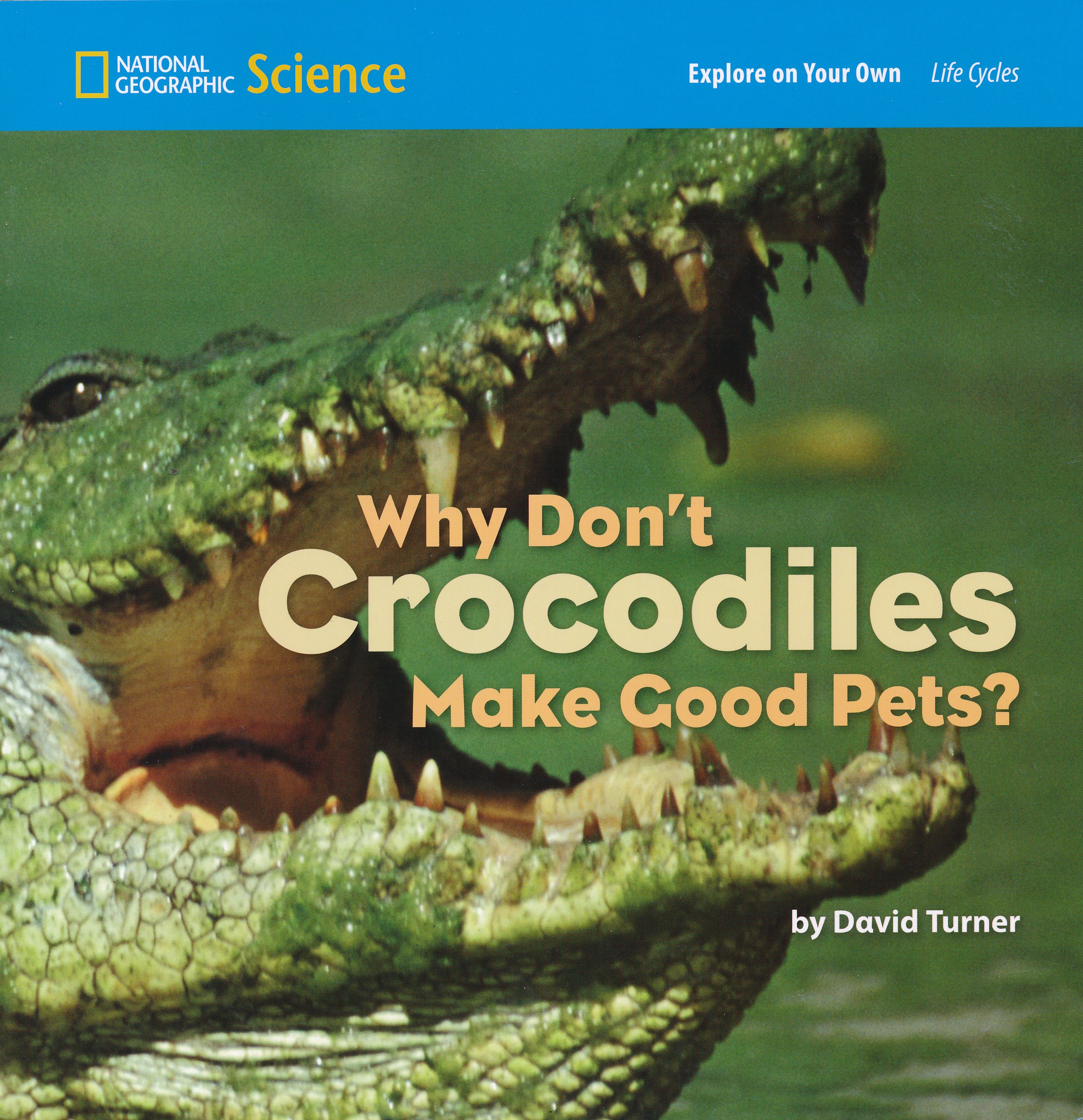 Why Don't Crocodiles Make Good Pets?