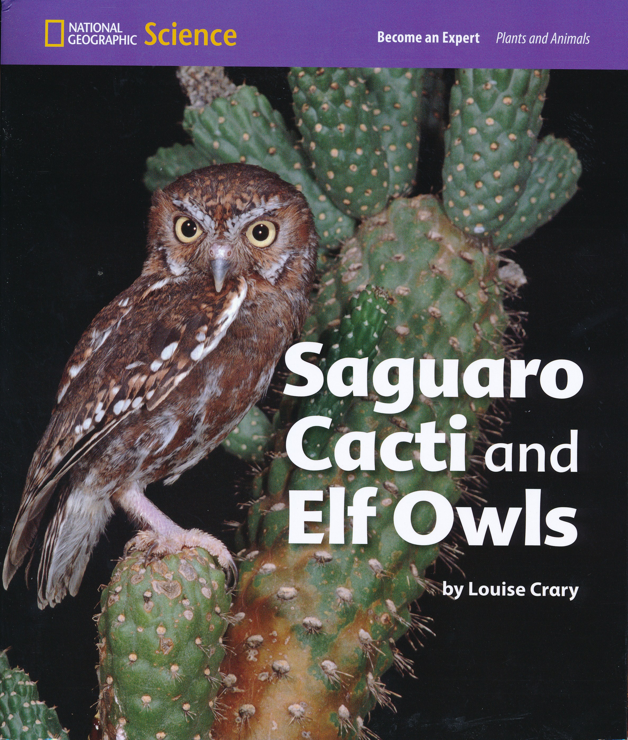 Saguaro Cacti and Elf Owls