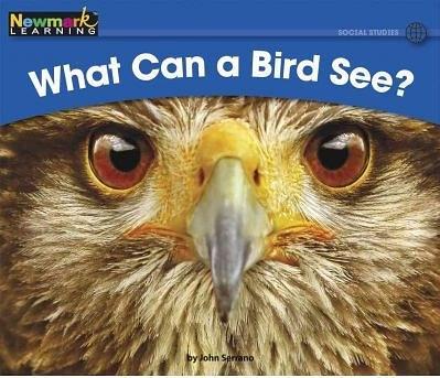 What Can a Bird See?