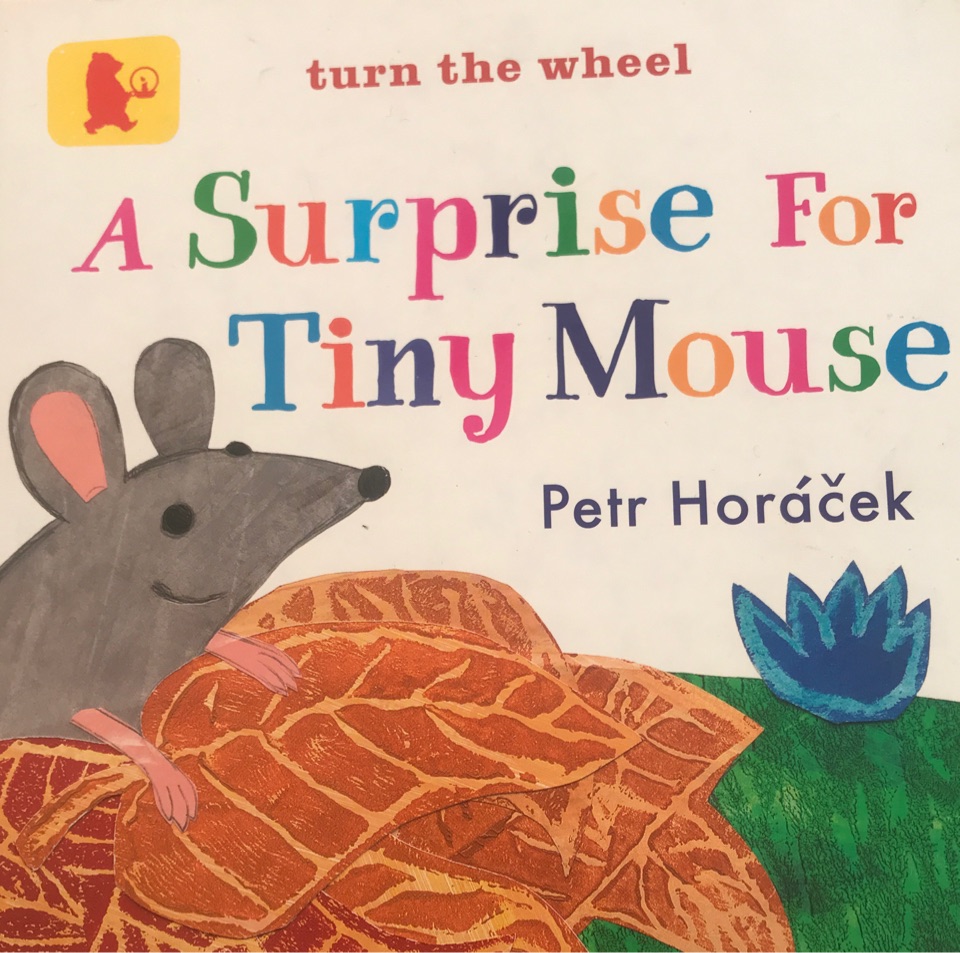 A Surprise for Tiny Mouse